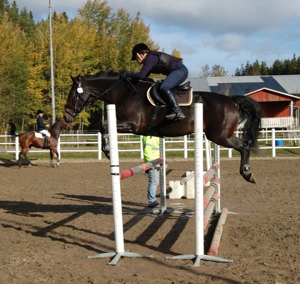 Tillridning och Träning